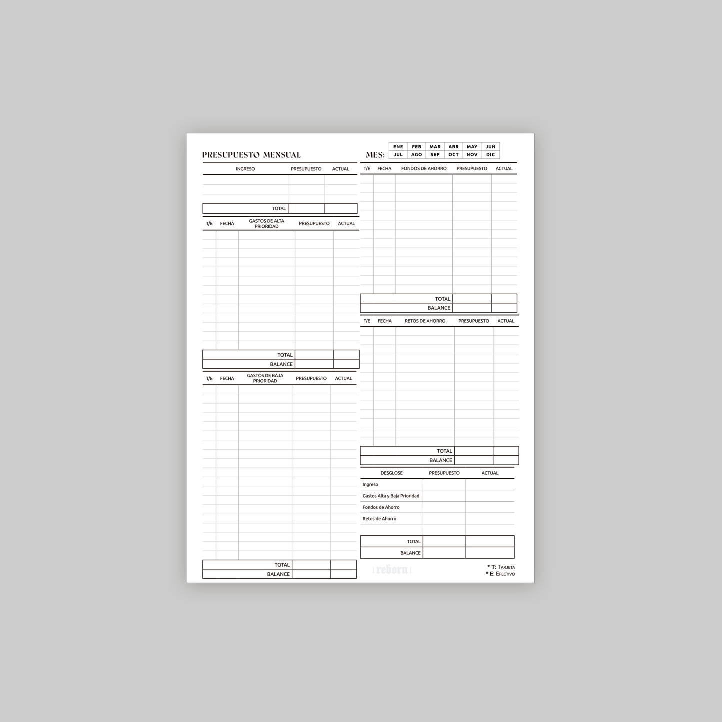 A4 Monthly Budget - Digital Download