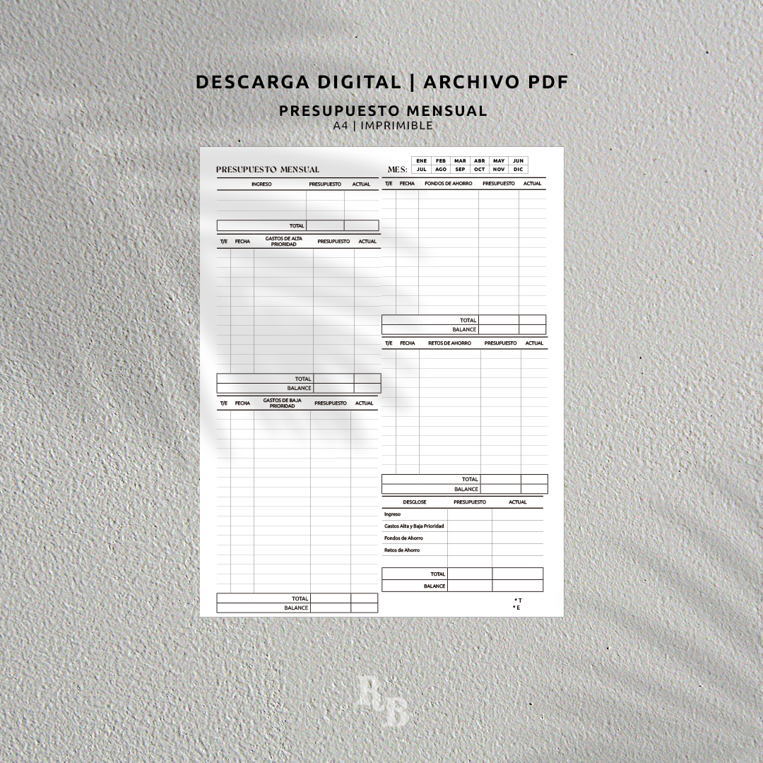 A4 Monthly Budget - Digital Download