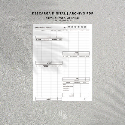 A4 Monthly Budget - Digital Download